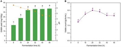 Production and quality evaluation of a novel γ-aminobutyric acid-enriched yogurt